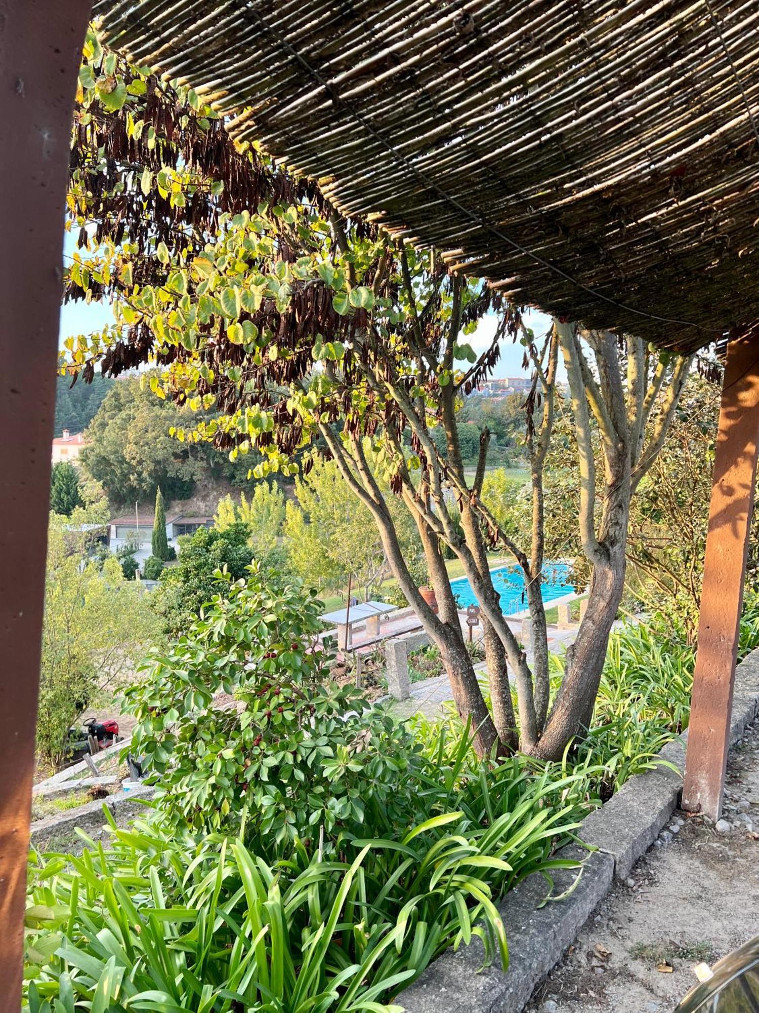 Quinta De Villasete Alpendurada Ngoại thất bức ảnh
