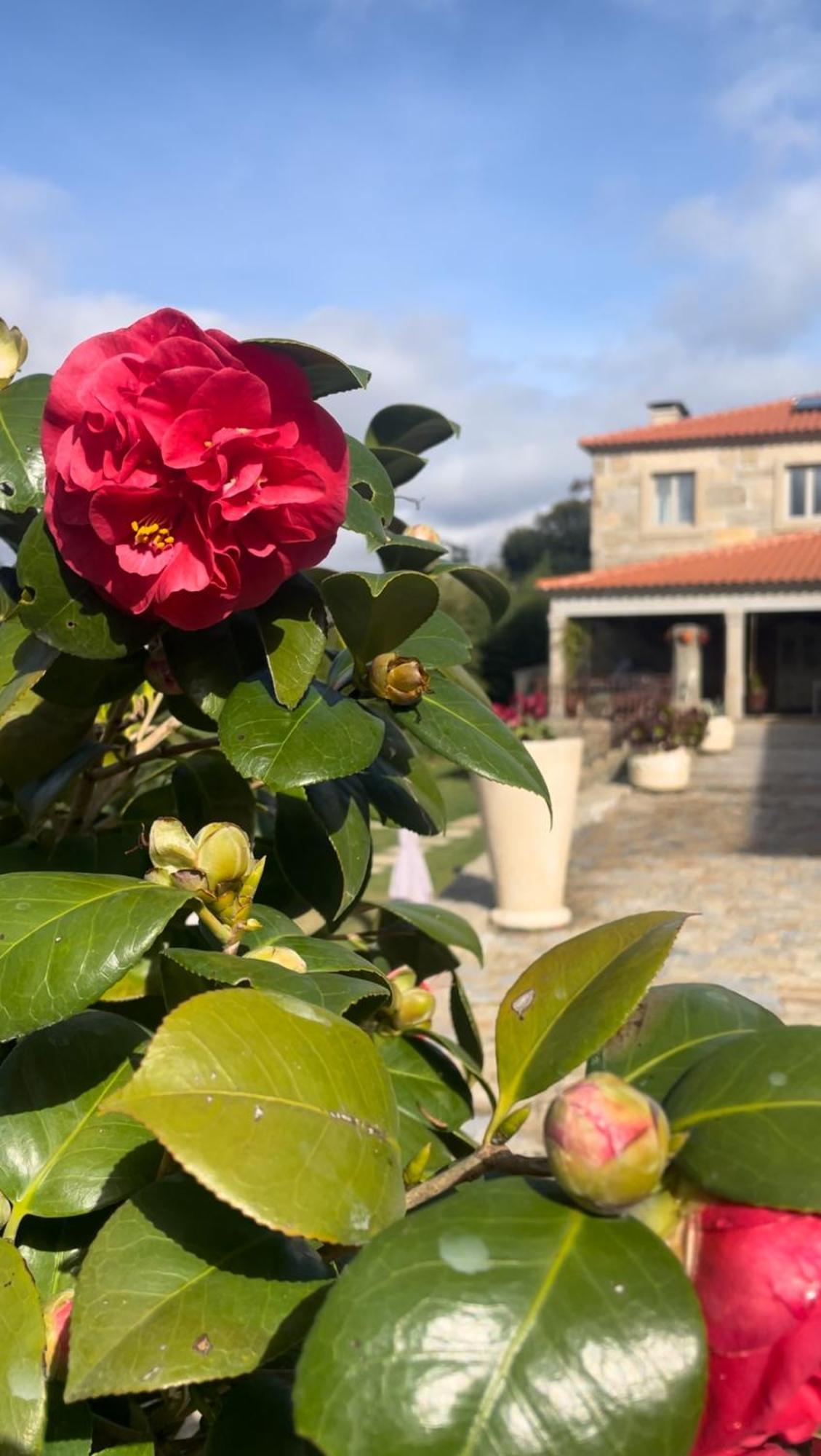 Quinta De Villasete Alpendurada Ngoại thất bức ảnh