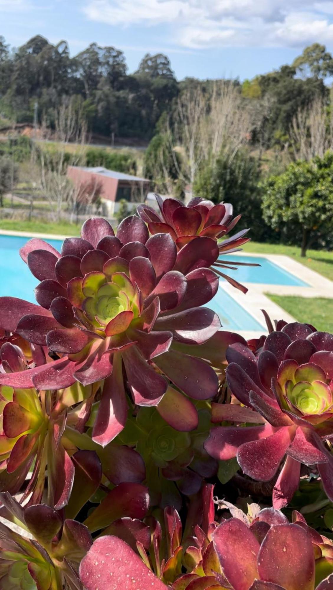 Quinta De Villasete Alpendurada Ngoại thất bức ảnh