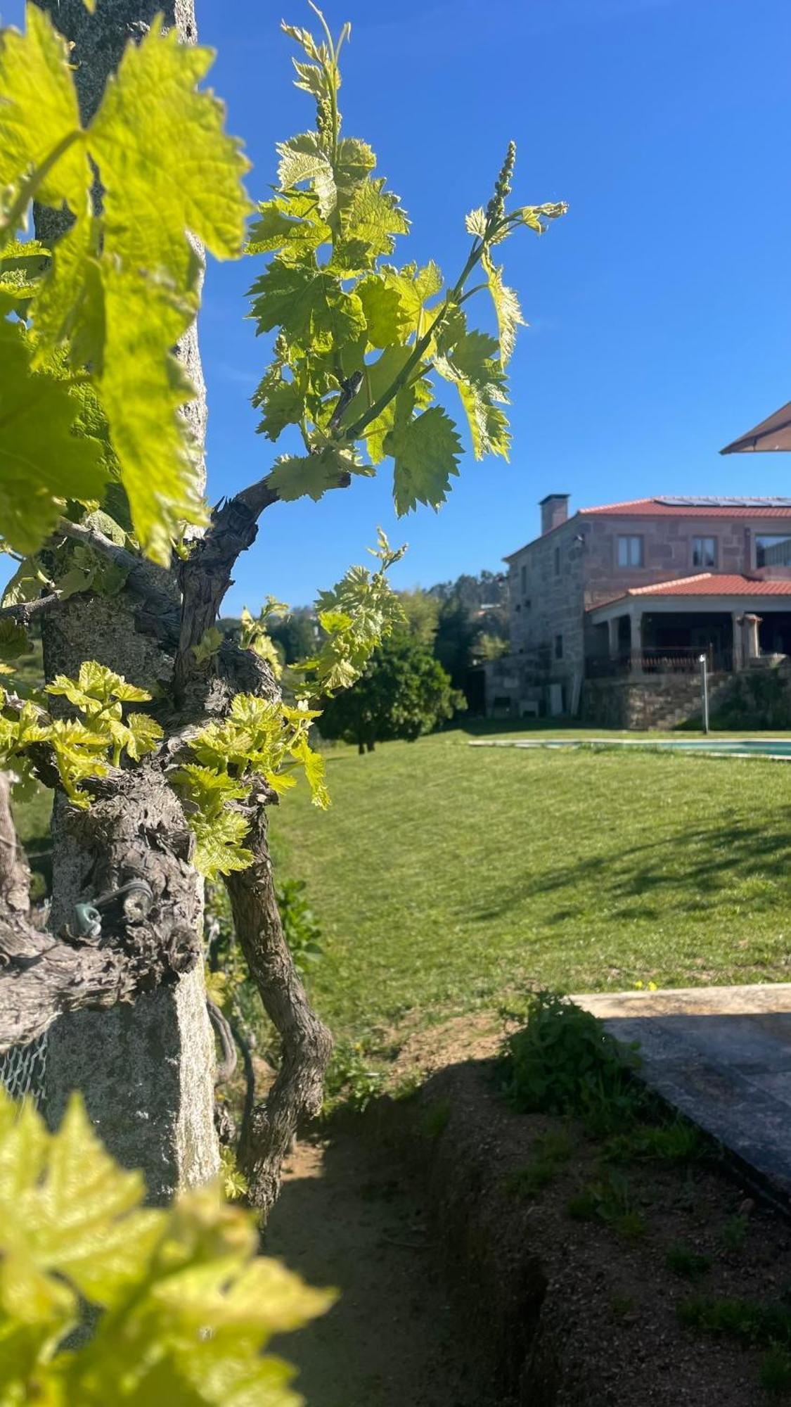 Quinta De Villasete Alpendurada Ngoại thất bức ảnh