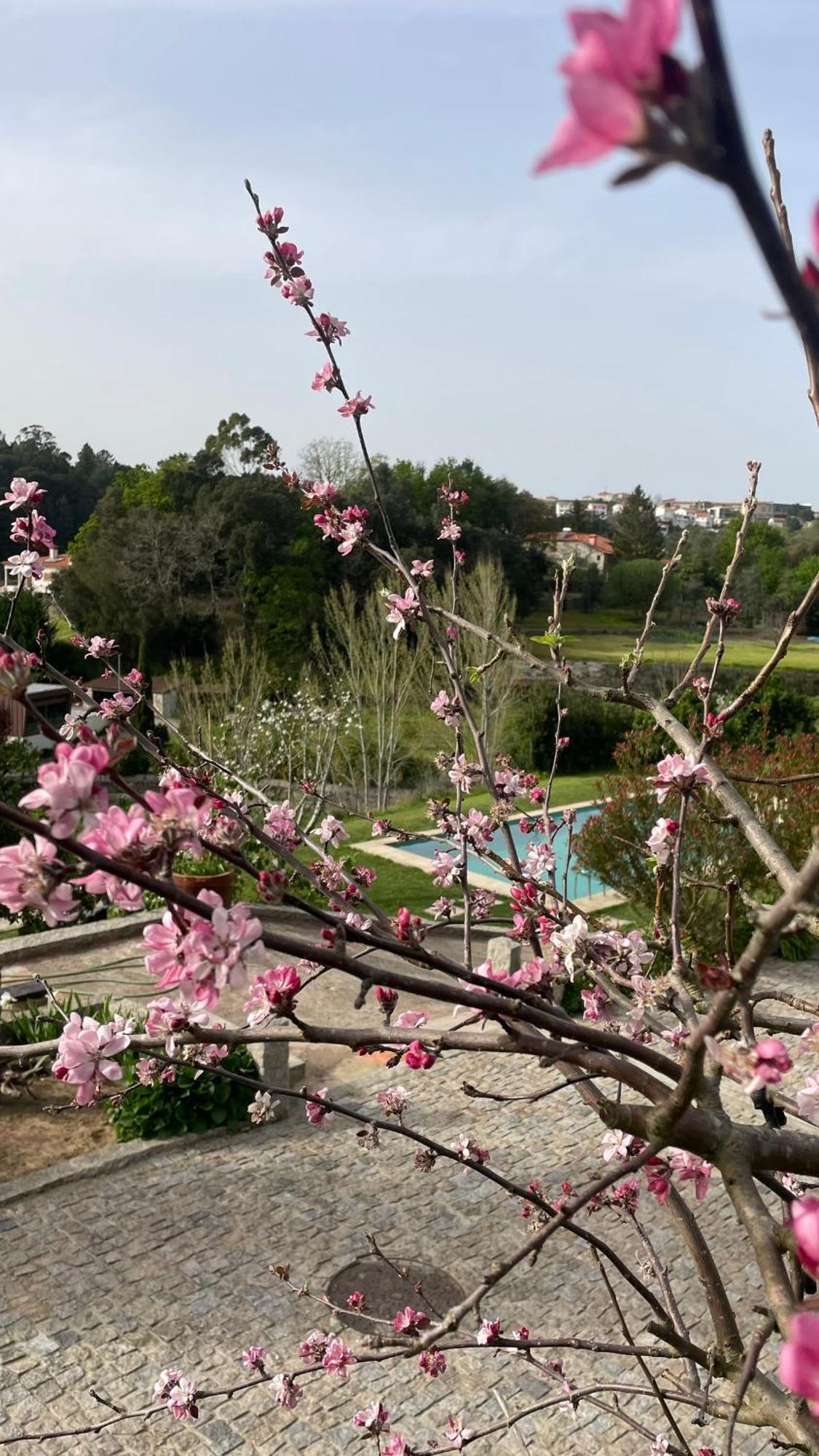Quinta De Villasete Alpendurada Ngoại thất bức ảnh