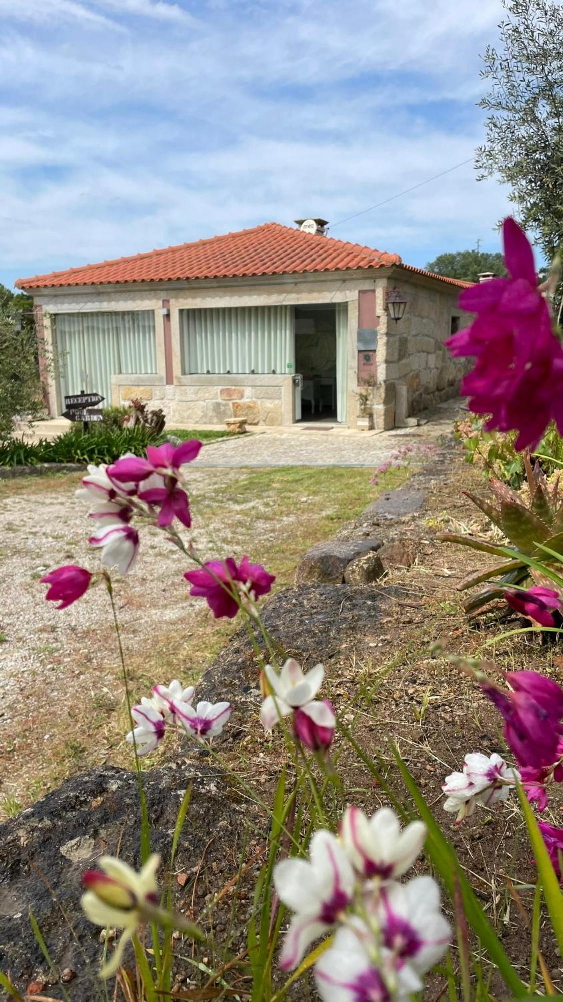Quinta De Villasete Alpendurada Ngoại thất bức ảnh