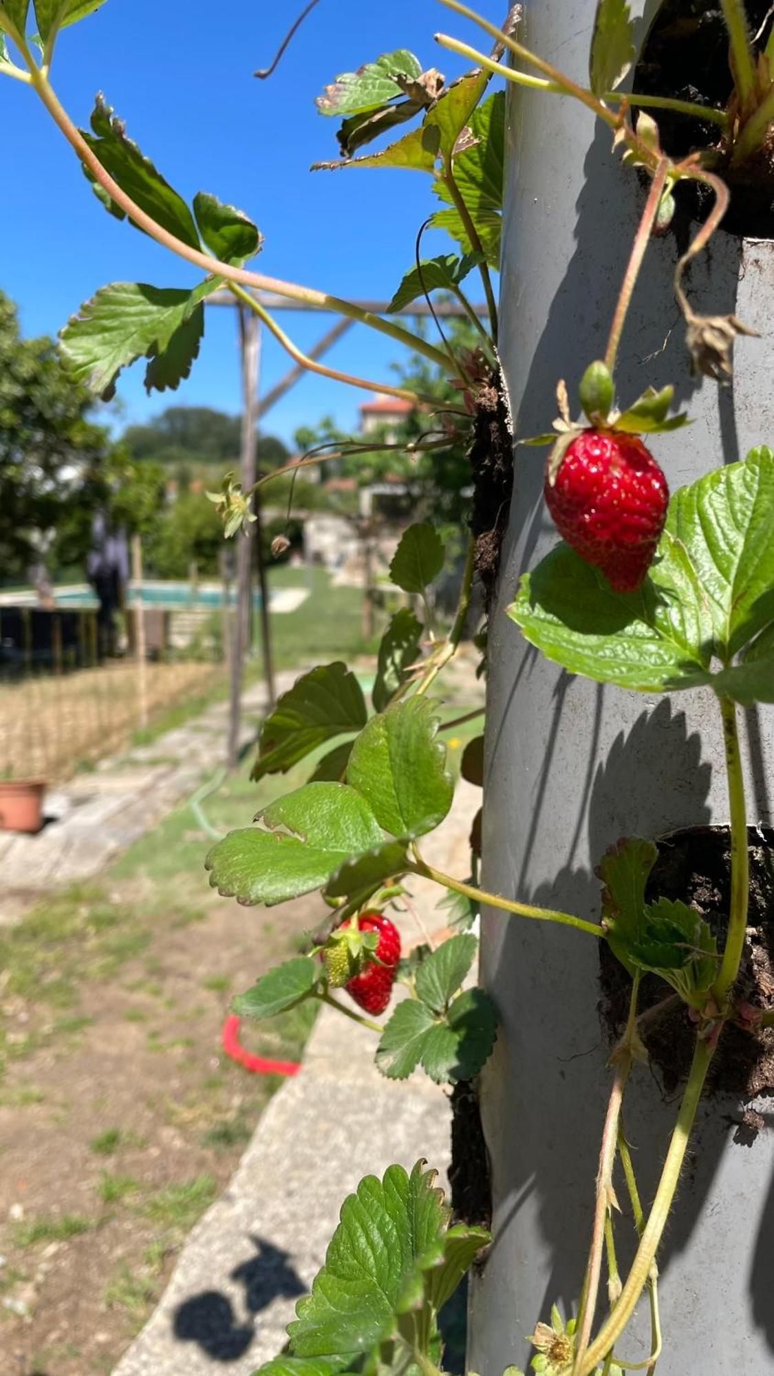 Quinta De Villasete Alpendurada Ngoại thất bức ảnh