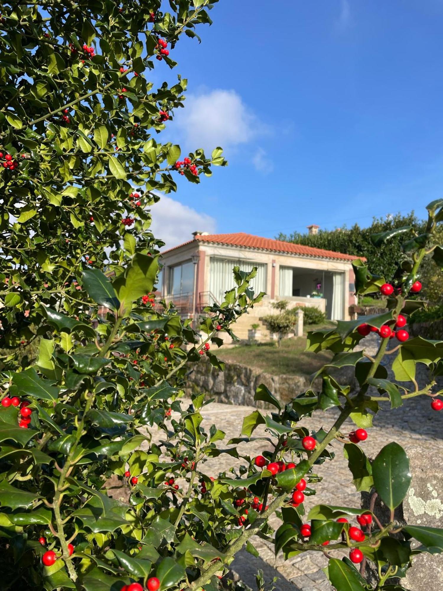 Quinta De Villasete Alpendurada Ngoại thất bức ảnh