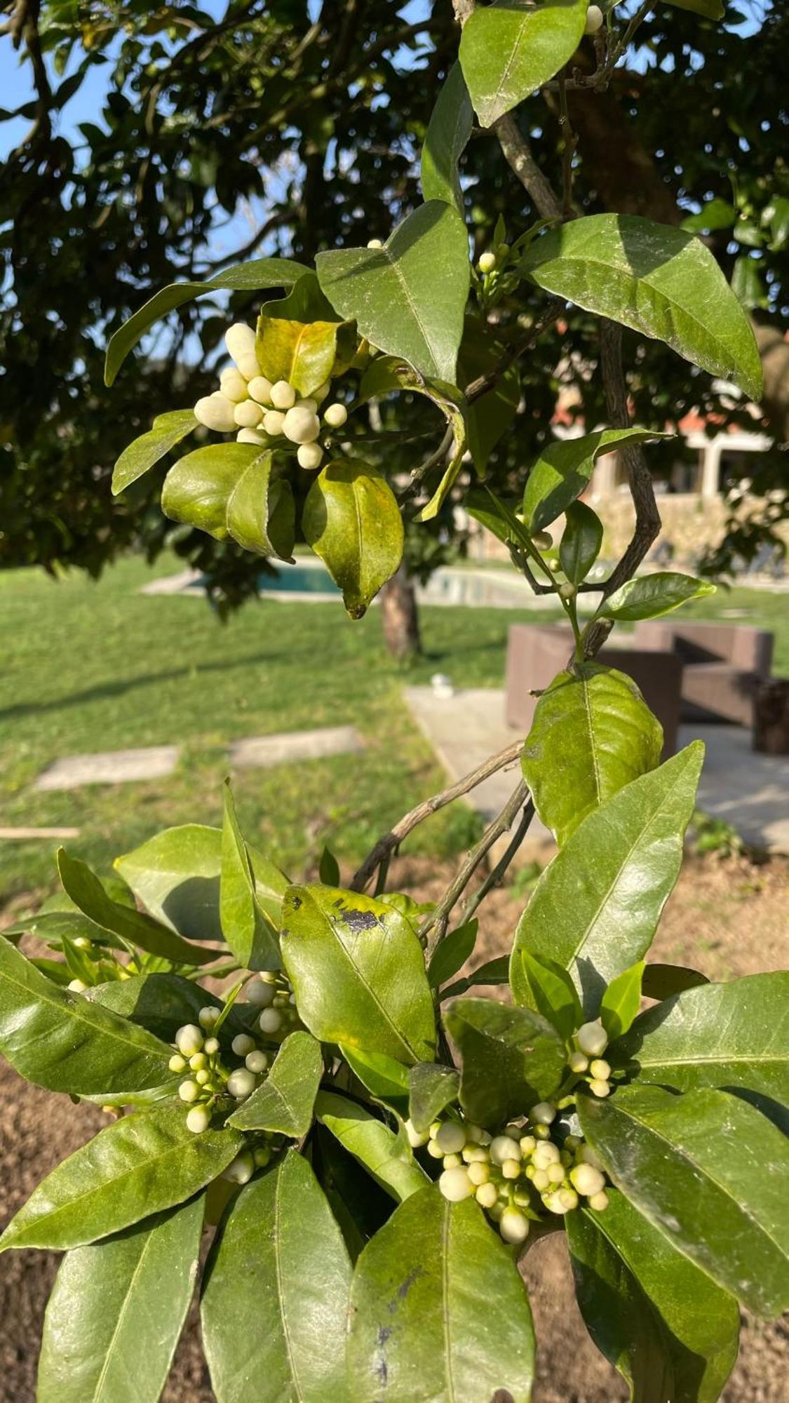Quinta De Villasete Alpendurada Ngoại thất bức ảnh