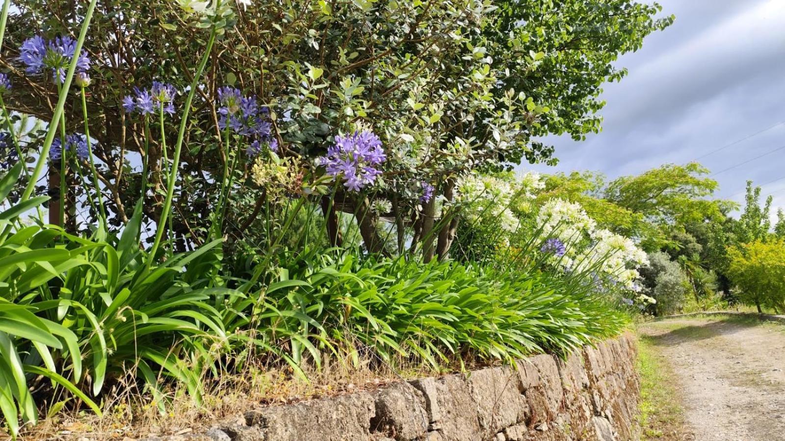 Quinta De Villasete Alpendurada Ngoại thất bức ảnh
